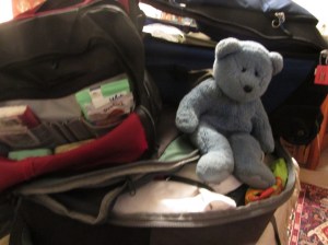 Bear with suitcases