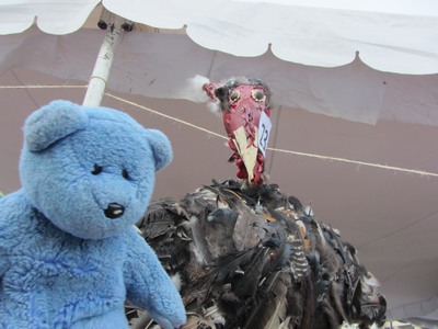 Blue Bear & Turkey pinata