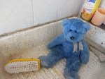 Blue Bear takes a bath
