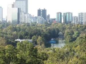 Mexico City rises tall