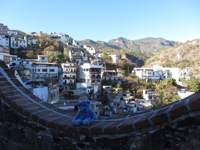 Blue Bear in Taxco