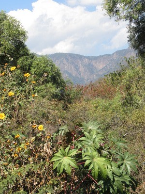 Mountains outside Paintla, Mexico