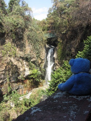 Blue Bear at Salto de San Anton, Cuernavaca, Mexico