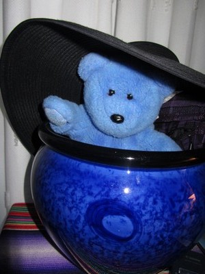 Peek a boo Blue Bear