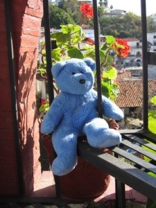 Blue Bear on stairs