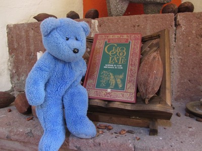Blue Bear at chocolateria, San Miguel de Allende, Mexico
