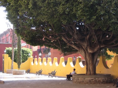 Courtyard wall, San Miguel de Allende, Mexico