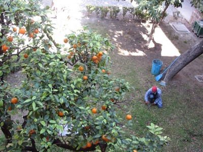 Courtyard, San Miguel de Allende, Mexico