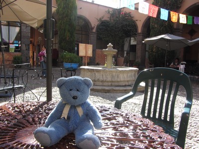 Blue Bear relaxing, San Miguel de Allende, Mexico