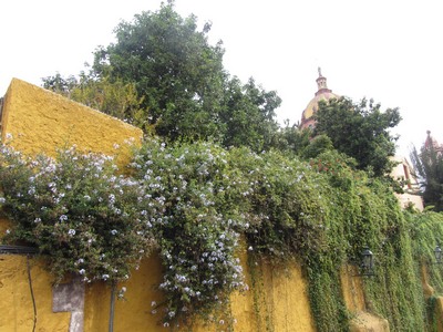 Street scene, San Miguel de Allende, Mexico