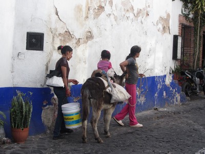 mule with child, Taxco, Mexico