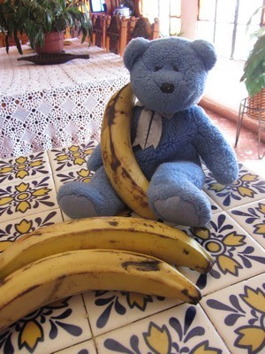 Blue Bear with plantains