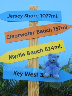 Blue Bear needs a direction