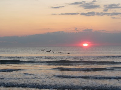 Sunrise with birds, Cocoa Beach Florida