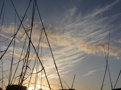 Sunset, Cocoa Beach, Florida