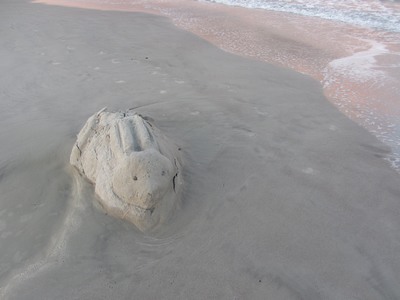 Sand sculpture, Cocoa Beach, Florida