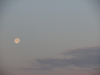 Moonset, Cocoa Beach, Florida