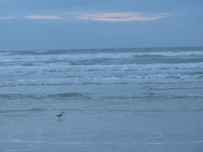 Sunrise, New Smyrna Beach, Florida