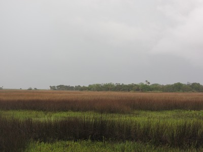 Salt marsh, St George Island, Florida