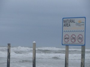 No traffic beach area, New Smyrna Beach , Florida