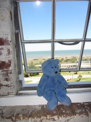 Blue Bear at window of Tybee Island light, Georgia