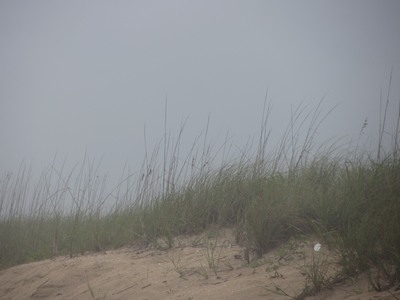 Canaveral National Seashore