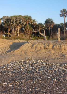 Edisto Beach, Georgia