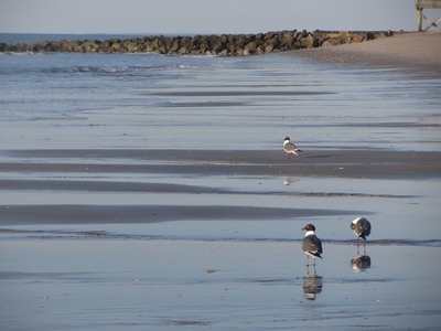 Edisto Beach, Georgia