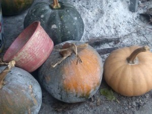 Calabasa (squash), Teloloapan, Mexico