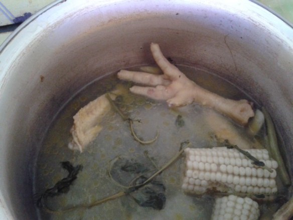 Mexican chicken soup