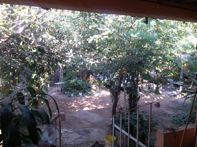 Courtyard, Family compound, Ocotito, Mexico
