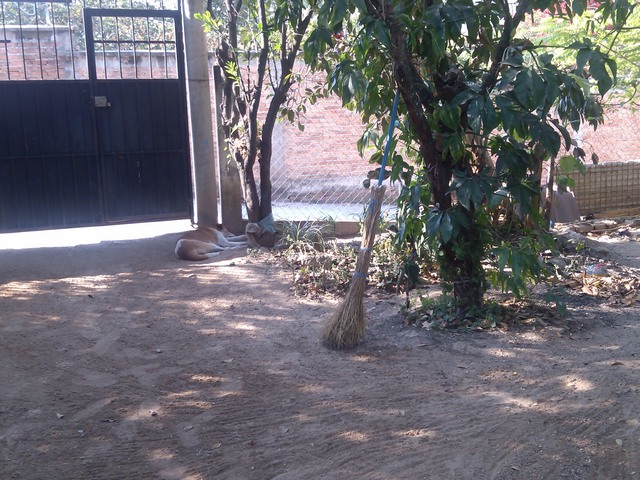 Courtyard, Family compound, Ocotito, Mexico