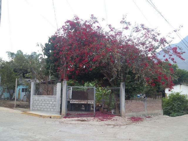 Courtyard wall, Ocotito, Mexico