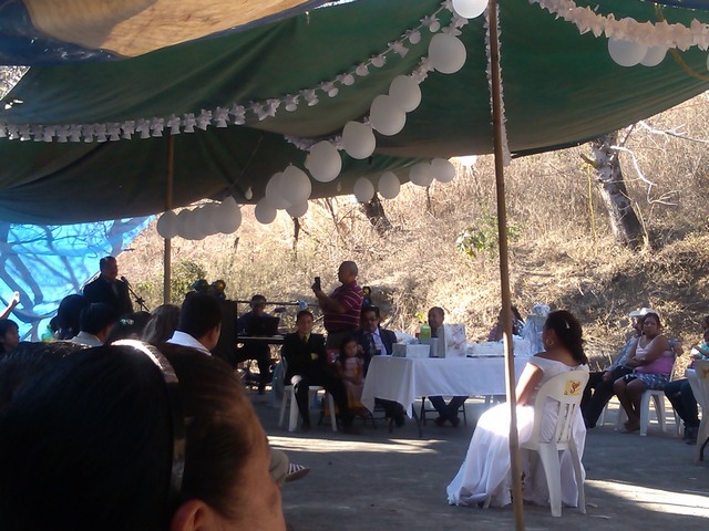 Groom sings to bride, Mexican wedding