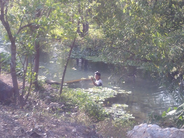 The springs at Buena Vista, Mexico