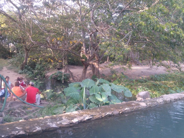 The springs at Buena Vista, Mexico