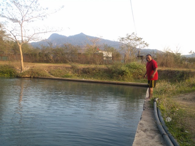 The springs at Buena Vista, Mexico