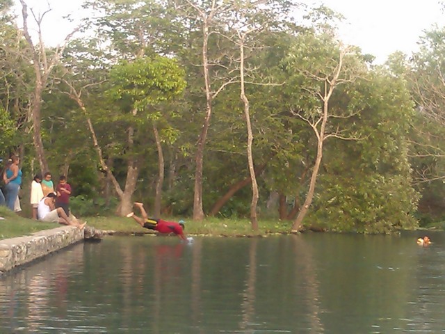 The springs at Buena Vista, Mexico