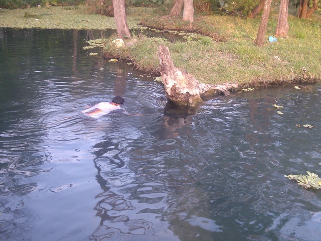 The springs at Buena Vista, Mexico