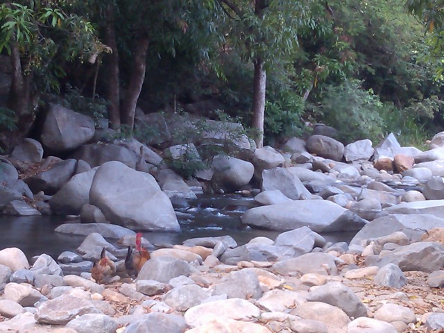 The river at the base of Tehaucalco, Mexico