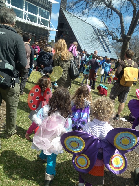 Spring butterfly festival, Audubon Society, Portland Maine