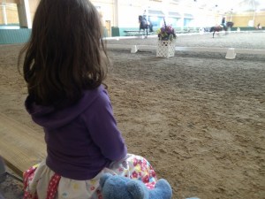 Equestrian Center, Pineland Farms, New Gloucester, Maine
