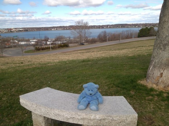 Blue Bear, Casco Bay, Portland, Maine