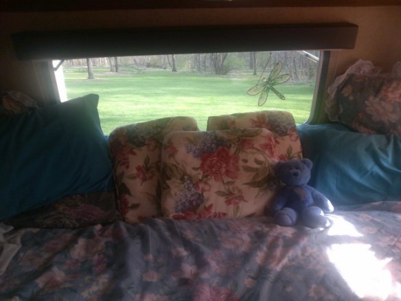 Blue Bear taking in the view, Wheeler's Campground, Baraboo, Wisconsin