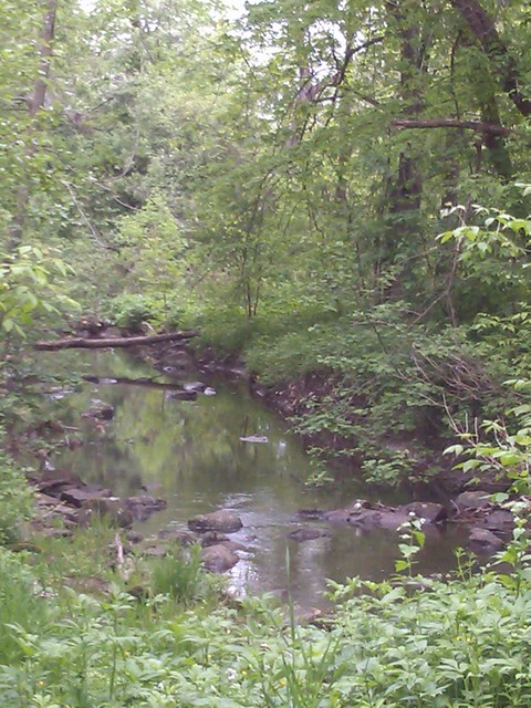 Stream, Baraboo, Wisconsin