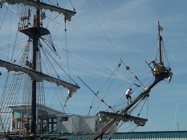 Man in rigging, Tall Ships festival, Portland, Maine
