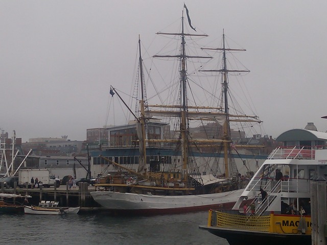 Tall Ships, Portland harbor (Maine)