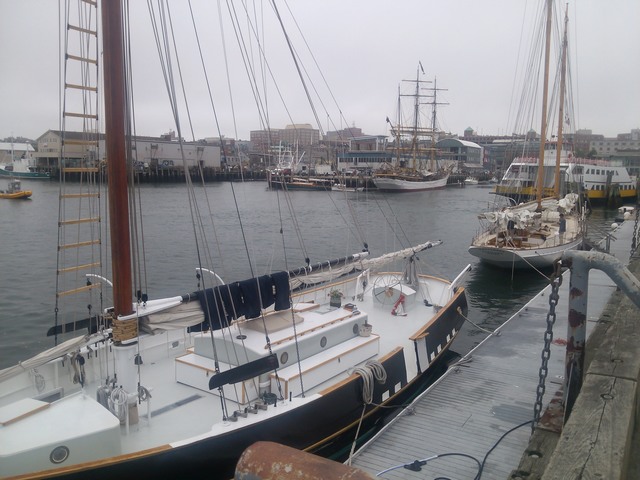 Tall Ships, Portland harbor (Maine)