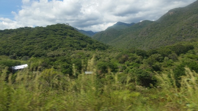 Green hills, Mexico