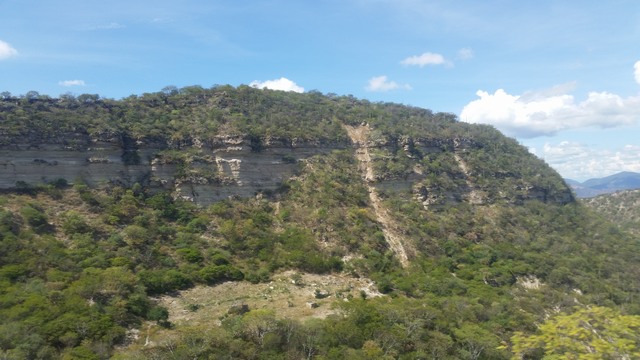 Mexican bluff